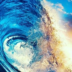 Meet your Posher, Trinity